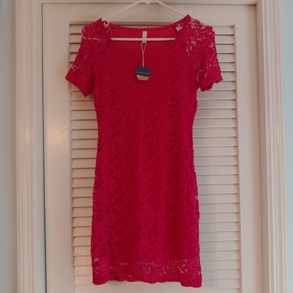 Pink Lace Pink Blush Dress